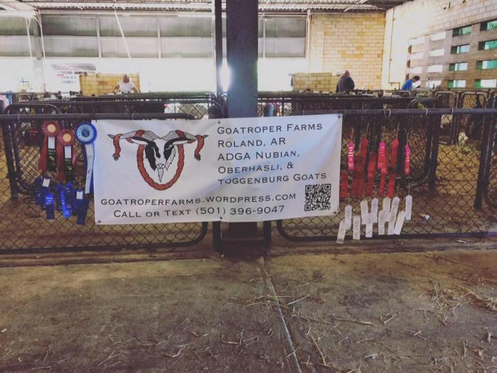 13082623_1289020001127131_4809657679045249901_n