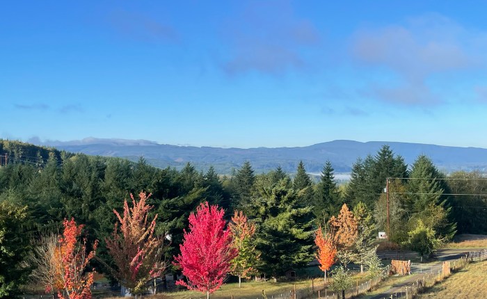 Big Changes for the&nbsp;Farm